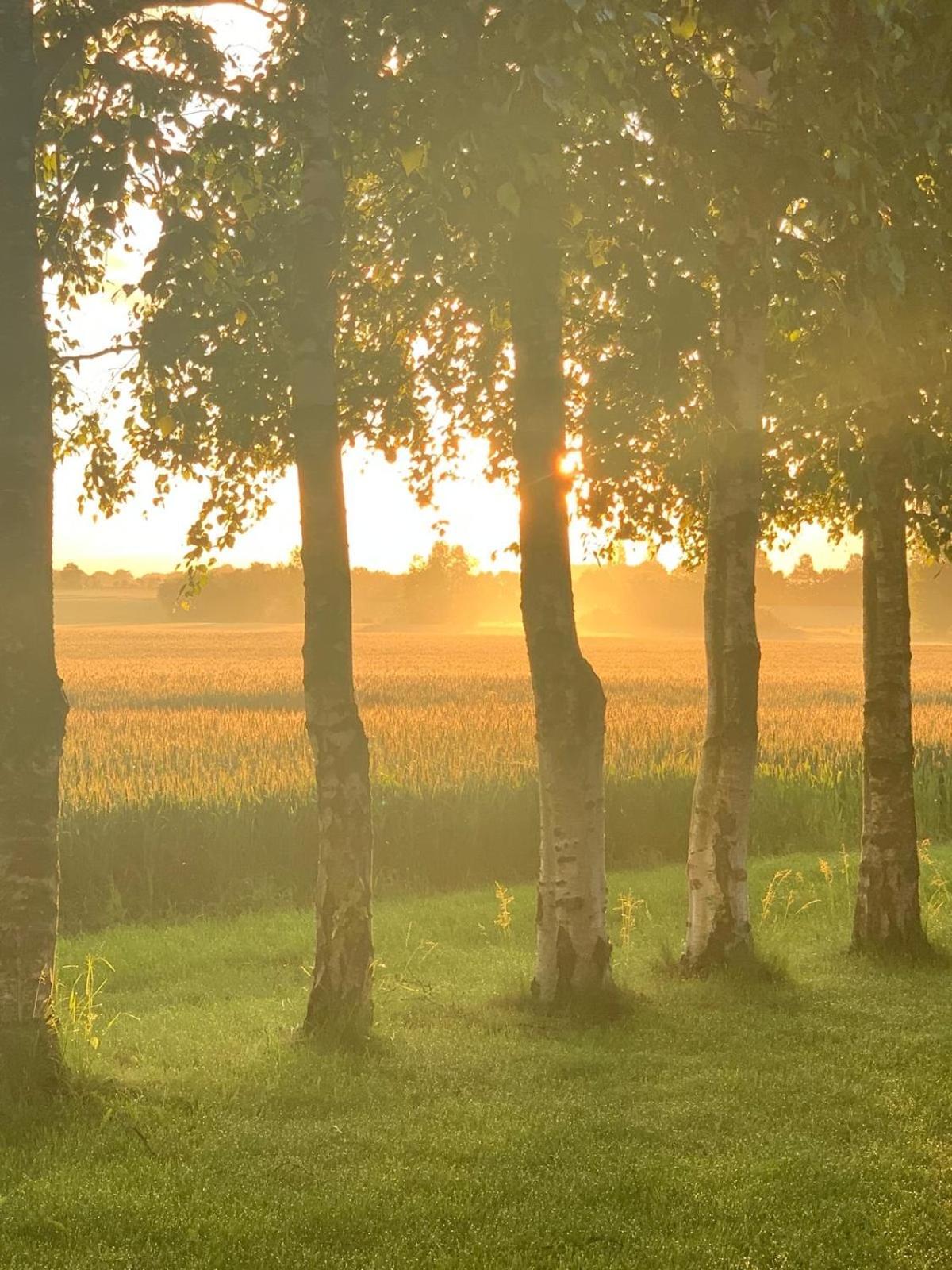 Romantic Luxus Glamping 3 Idestrup ภายนอก รูปภาพ
